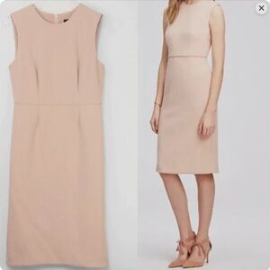 New—Ann Taylor Blush Midi Dress Never Wear